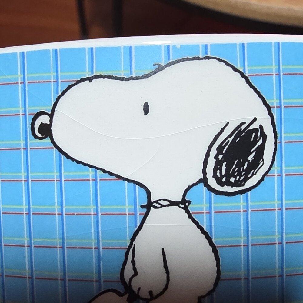 Gibson Peanuts Snoopy Woodstock Dolomite Pet Bowl PS ALL GONE White Blue Red - Picture 3 of 5
